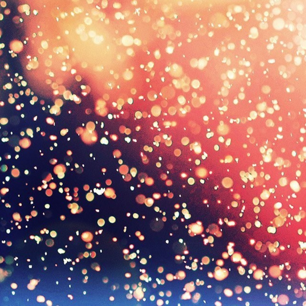 Meet your Posher, Graciee